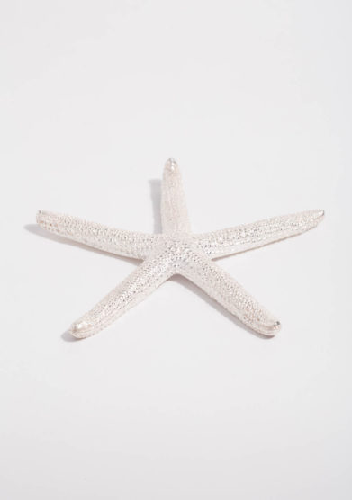 RR ORAFI - Ciondolo stella marina in argento